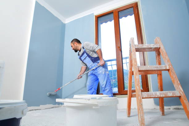 Best Basement Mold Removal  in Pikeville, TN