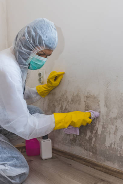 Best HVAC Mold Inspection and Cleaning  in Pikeville, TN