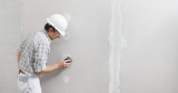 Best Environmental Consulting for Mold Prevention  in Pikeville, TN
