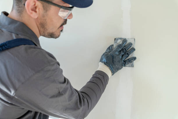 Best Mold Removal for HVAC Installations  in Pikeville, TN