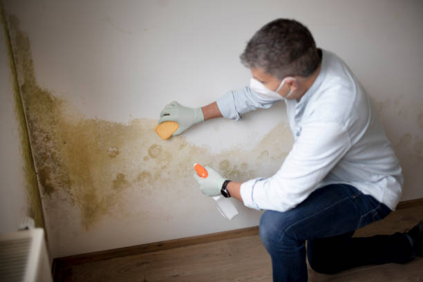 Best Dehumidification Services  in Pikeville, TN