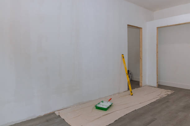 Best Emergency Mold Remediation  in Pikeville, TN