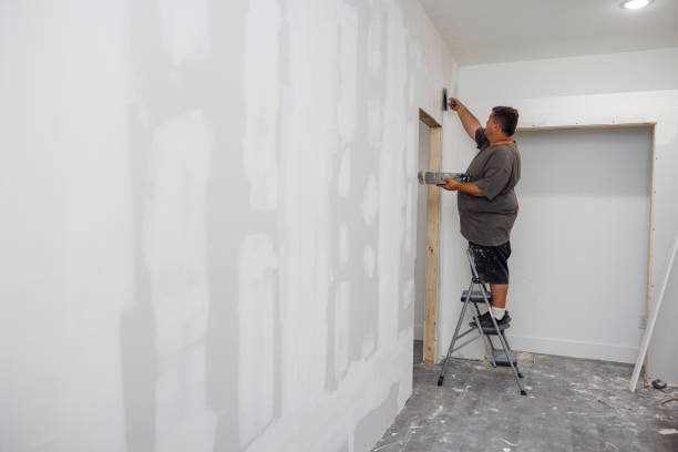 Best Real Estate Mold Inspection  in Pikeville, TN