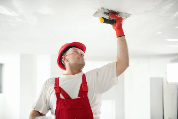 Best Air Quality Testing for Mold Spores  in Pikeville, TN
