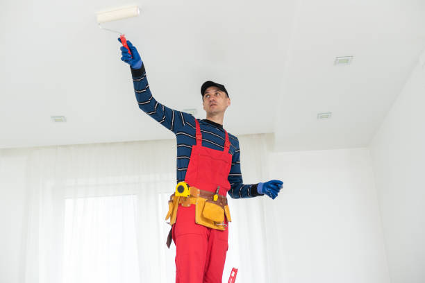 Best Comprehensive Air Testing for Mold Contaminants  in Pikeville, TN